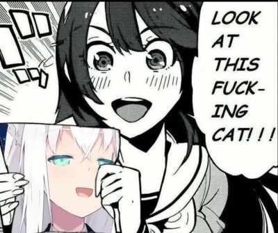 "what do you mean it's not a cat?" - me who just got into the rabbit hole