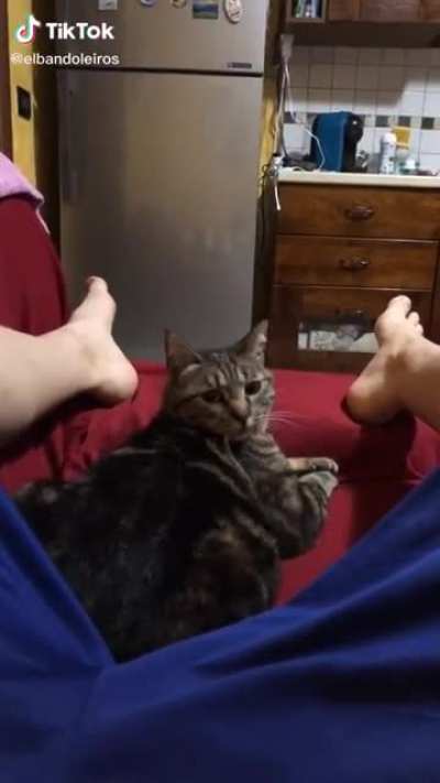 Wtf is wrong with you Steve?