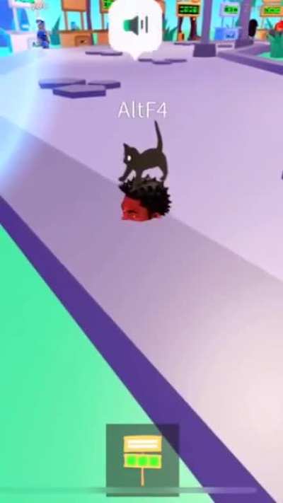 its a dog