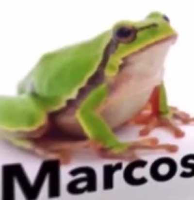 Marcos