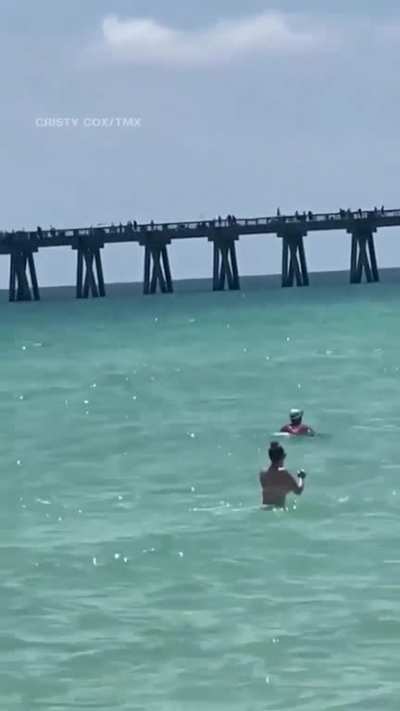Shark seen swimming in shallow waters at a crowded Beach