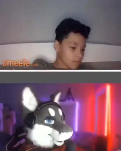 🐺🤮