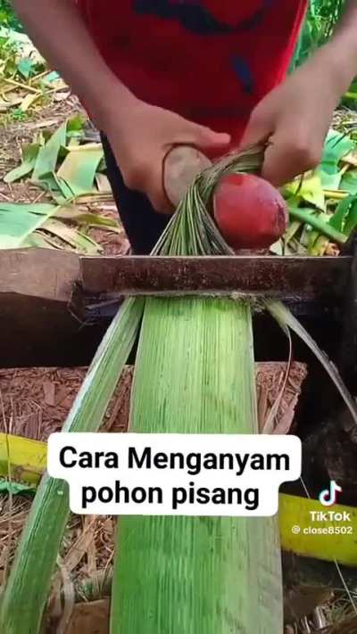 Something something Banana fibers