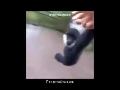 He puesto mi alma en esto ¿Pero vale 5 Subs?