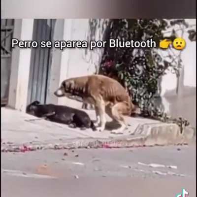 Simplemente &eacute;pico
