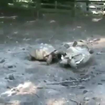 I Got Your Back, Bro!