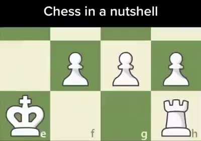 🤣🤣🤣🤣🤣🤣