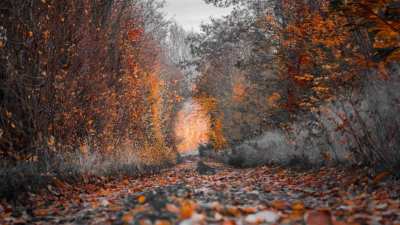 autumn