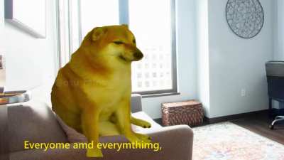 Cheems goes to therapy