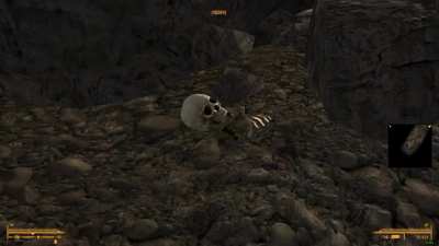 Wild, Wild Wasteland