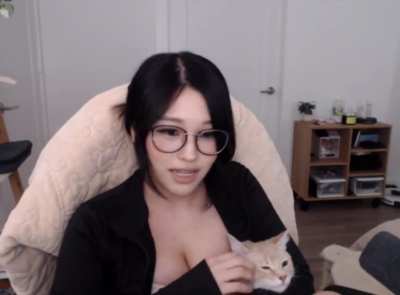 hyoon&rsquo;s new cat 🐱