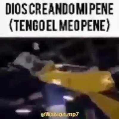 😎🤑