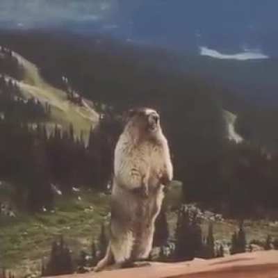 AHHHHHHHH