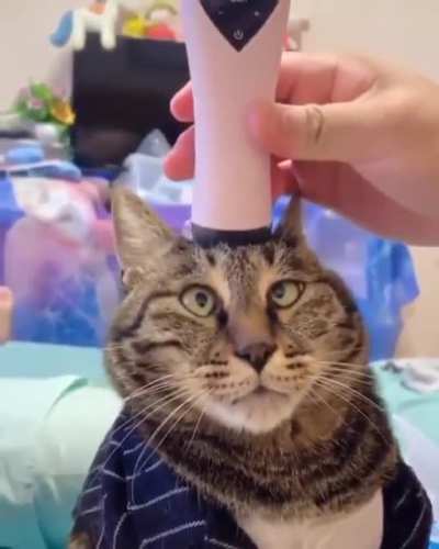 "This feels good"