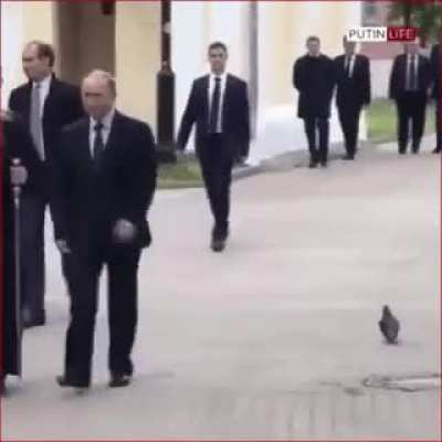 A "bird" saluting Putin