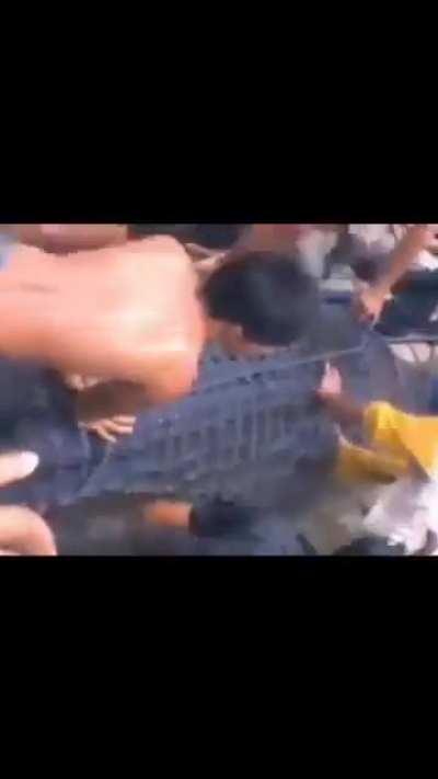 Some footage compilation of Manubar Monster, from Borneo