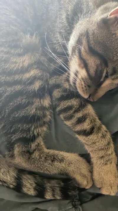 Sleepy George..