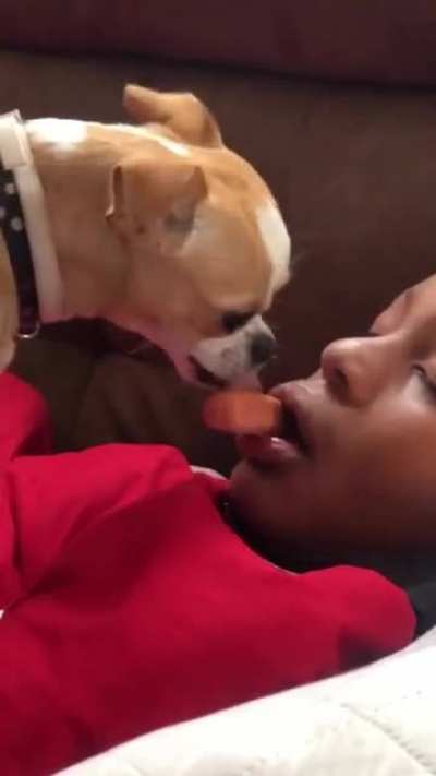 idk what&rsquo;s more wild the dog or the him sleep w a frank in his mouth