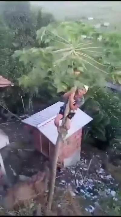 Vai uma m&atilde;o a&iacute;? 