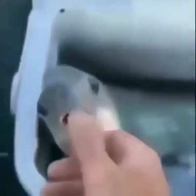 shitposting - Video #4005