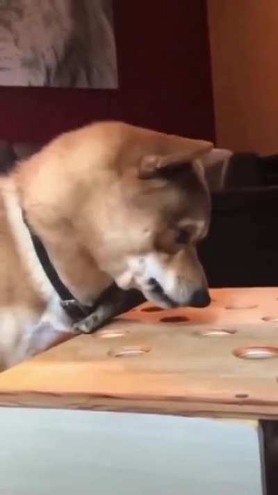 To eat the sausage