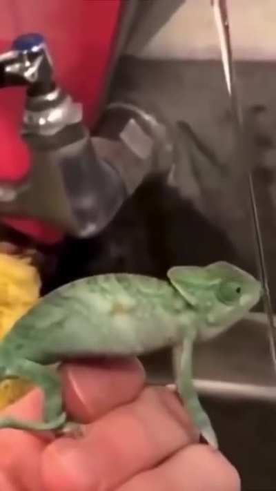 me trying to hold on to my hopes