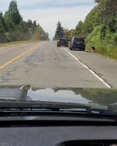 Road rage in Seattle