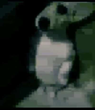 😨