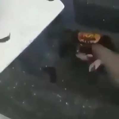 Mientras tanto en Brasil pt 2