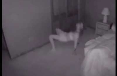 SCP 008