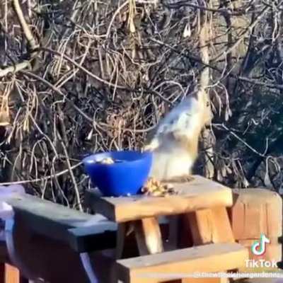 Maybe maybe maybe