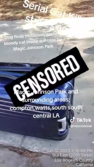My stalker tortured and killed a cat, put the bloody cat in a suitcase, and put it in my trunk.