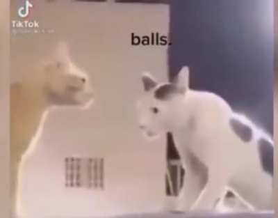 He’s Coming