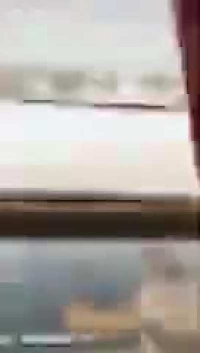 ai papai