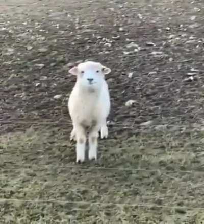 Did you take the picture? Do I look good