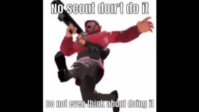 Scout dont do it
