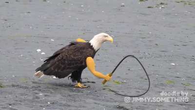 Eagle with hands