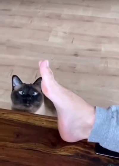 AAAUGH-