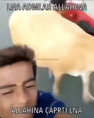 😳🤭