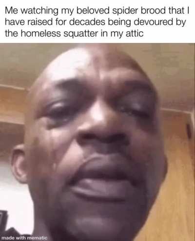 Rip