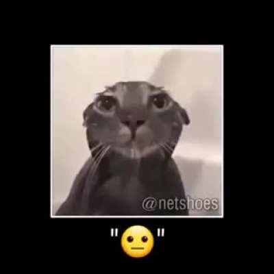 ._.