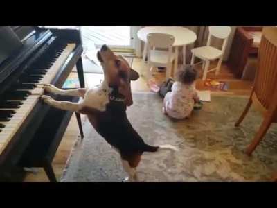 Nobody has ever had as much fun at a party as these two are having at this party