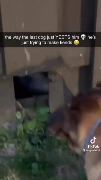 Peeping drama