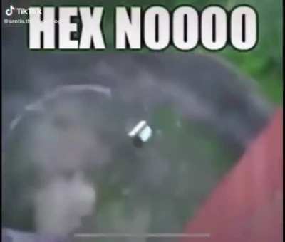 NOOOOOOOOO