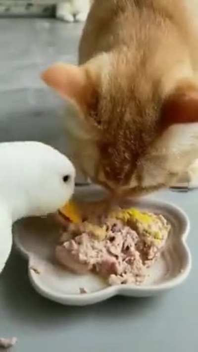 The quacky wunk&rsquo;s greed is more than horrifying