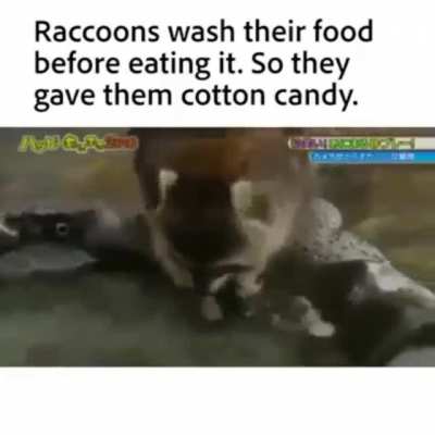 Nooooo no so sad