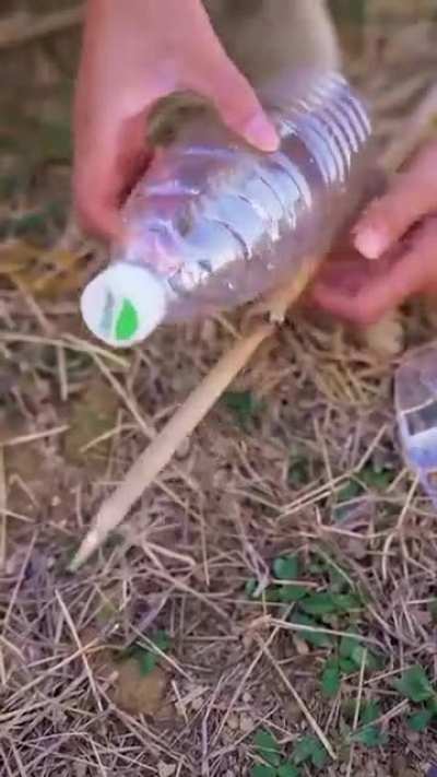 Утро.