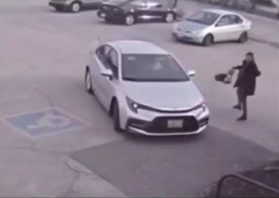 Trying to escape from an angry goose by getting into a car
