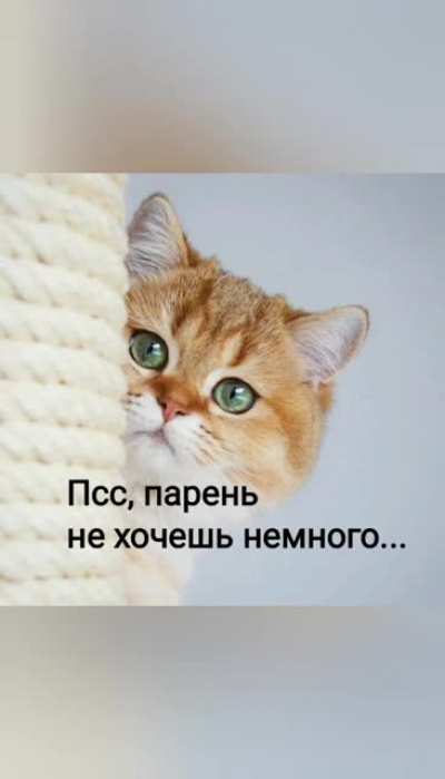 Антис<wbr>тресс
