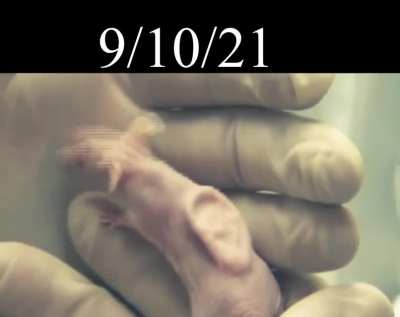When 9/10/21